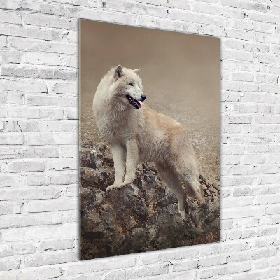 Vertikální Foto obraz sklo tvrzené Vlk na skále