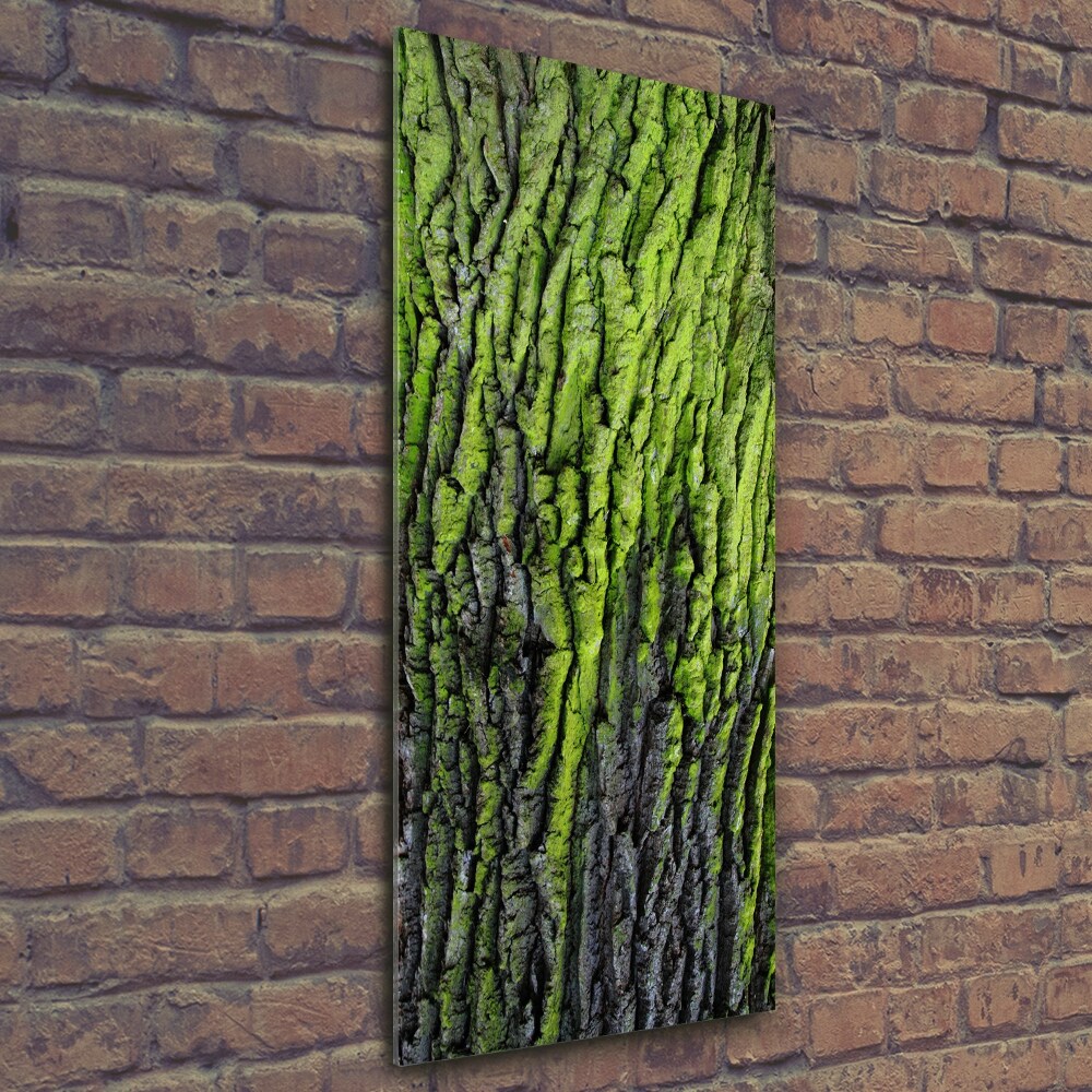 Vertikální Foto obraz sklo tvrzené Kůra stromu