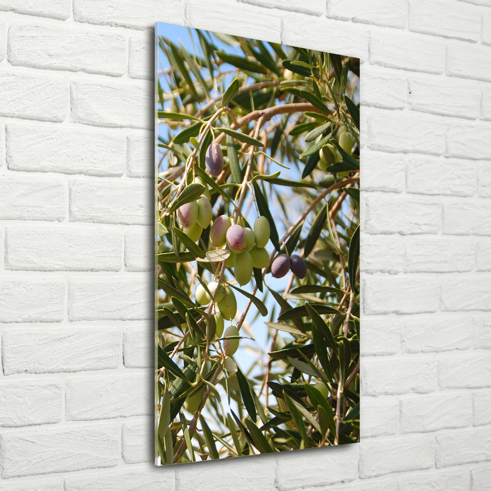Vertikální Fotoobraz na skle Olivy na stromě