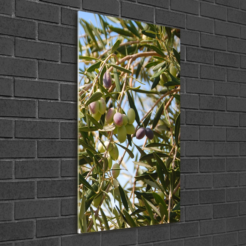 Vertikální Fotoobraz na skle Olivy na stromě