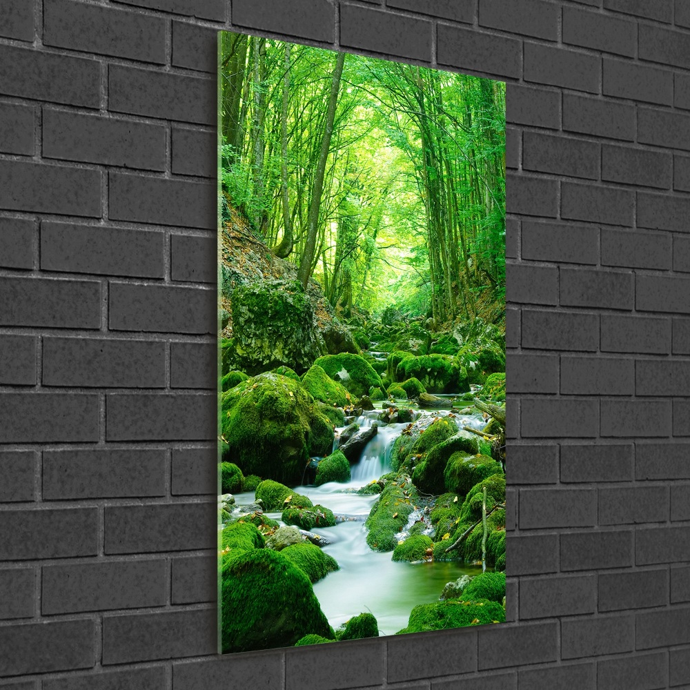 Vertikální Fotoobraz na skle Potok v džungli