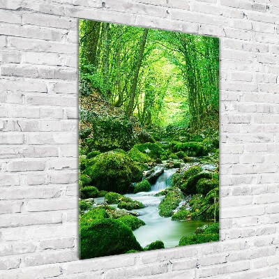 Vertikální Fotoobraz na skle Potok v džungli