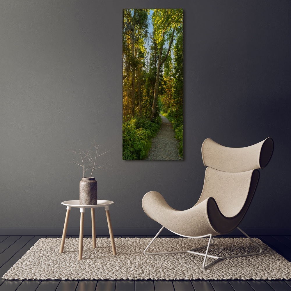 Vertikální Fotoobraz na skle Stezka v lese