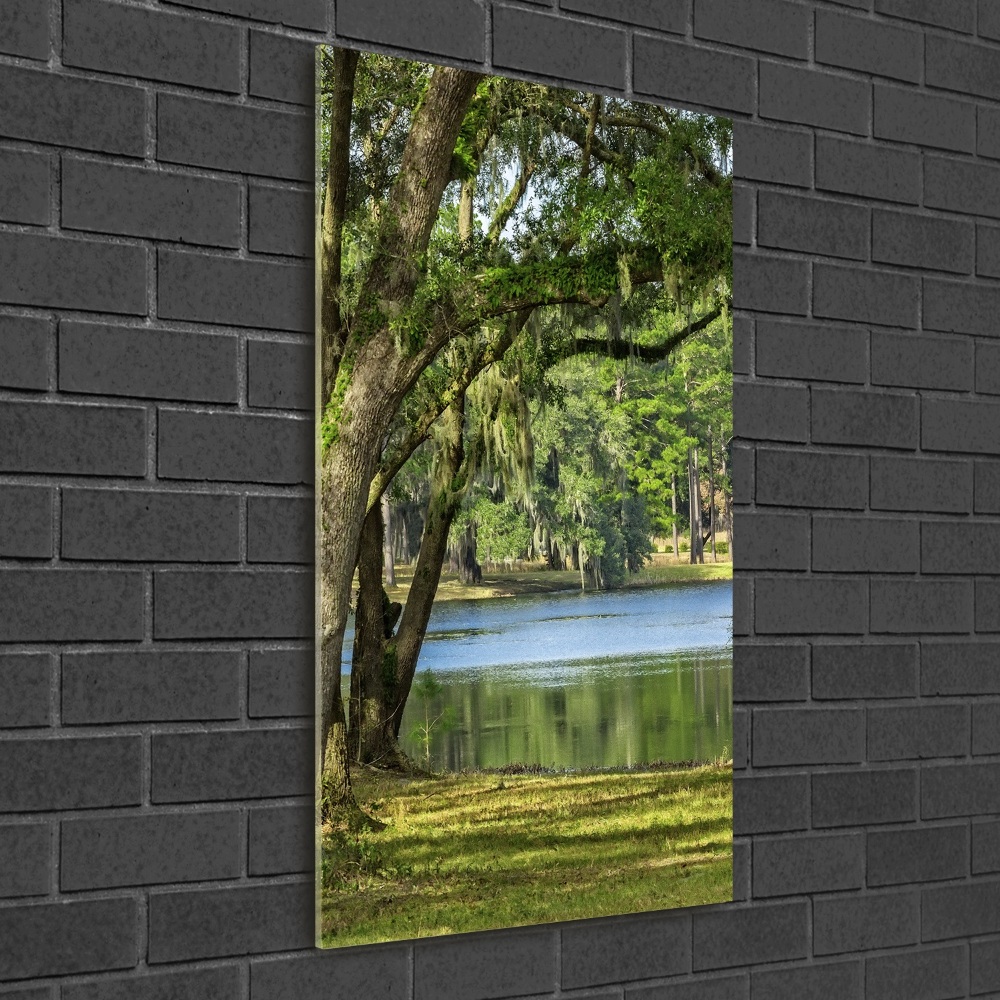 Vertikální Fotoobraz na skle Jezero v parku