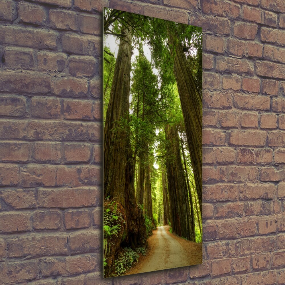 Vertikální Fotoobraz na skle Stezka v lese