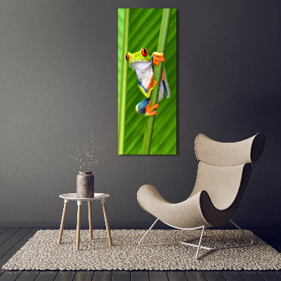 Vertikální Foto obraz skleněný svislý Rosnička zelená