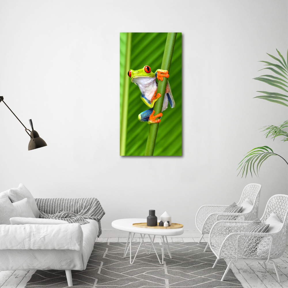 Vertikální Foto obraz skleněný svislý Rosnička zelená