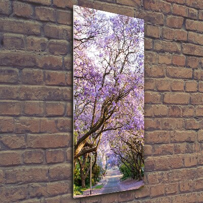 Vertikální Fotoobraz na skle Stezka stromy