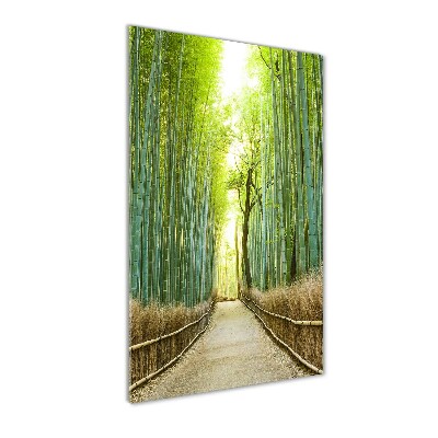 Vertikální Foto obraz sklo tvrzené Bambusový les