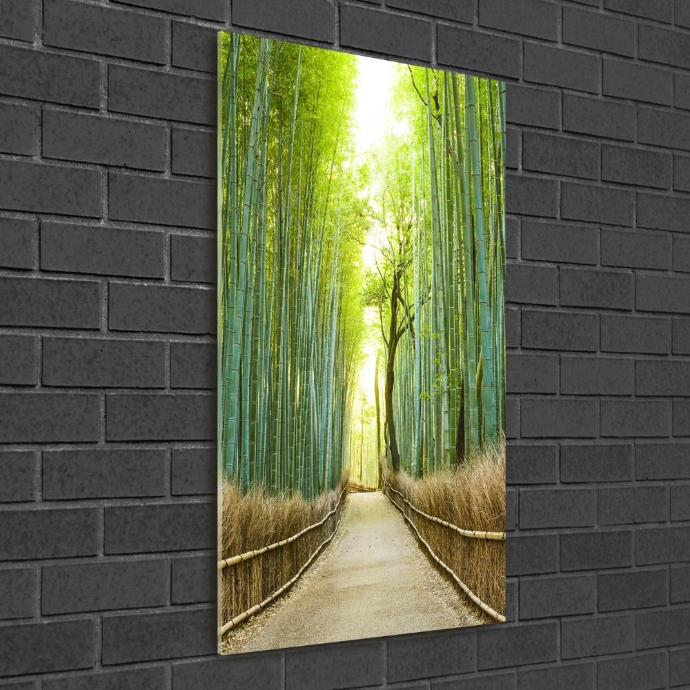 Vertikální Foto obraz sklo tvrzené Bambusový les