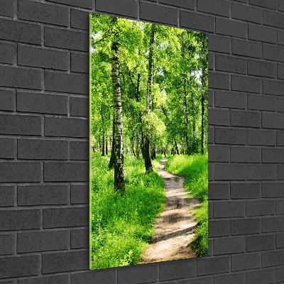 Vertikální Foto obraz sklo tvrzené Břízový les