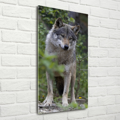 Vertikální Foto obraz sklo tvrzené Vlk v lese