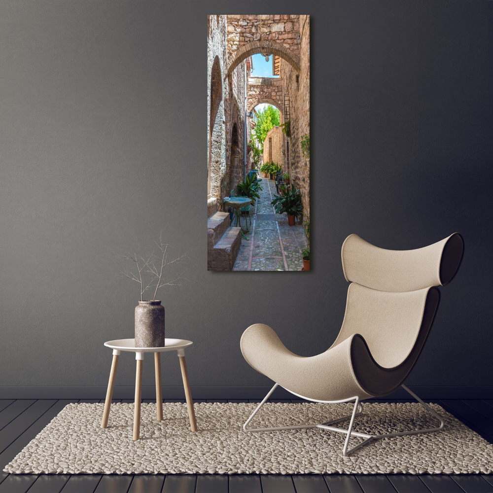 Vertikální Fotoobraz na skle Italské uličky