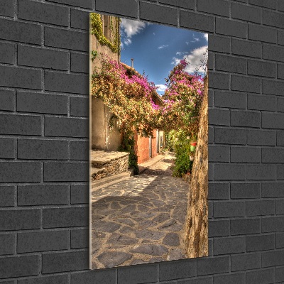 Vertikální Fotoobraz na skle Francouzské uličky