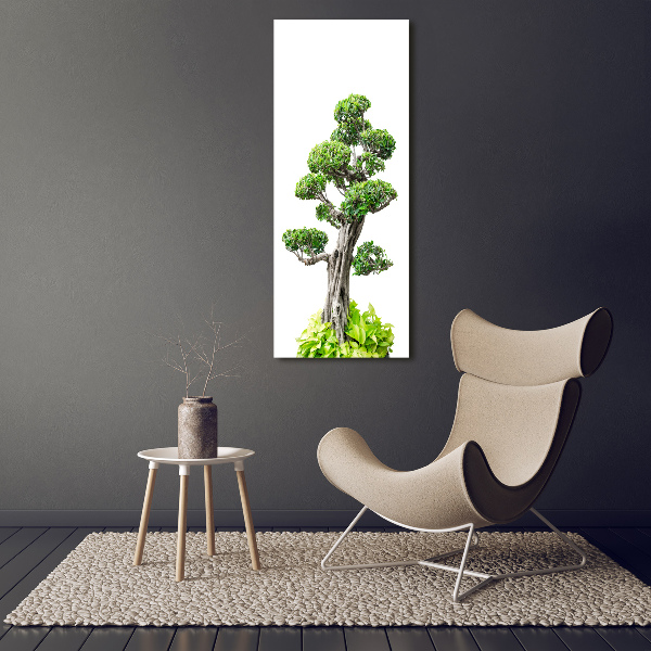 Vertikální Foto obraz sklo tvrzené Bonsai