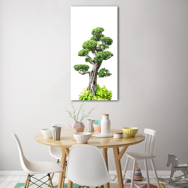 Vertikální Foto obraz sklo tvrzené Bonsai