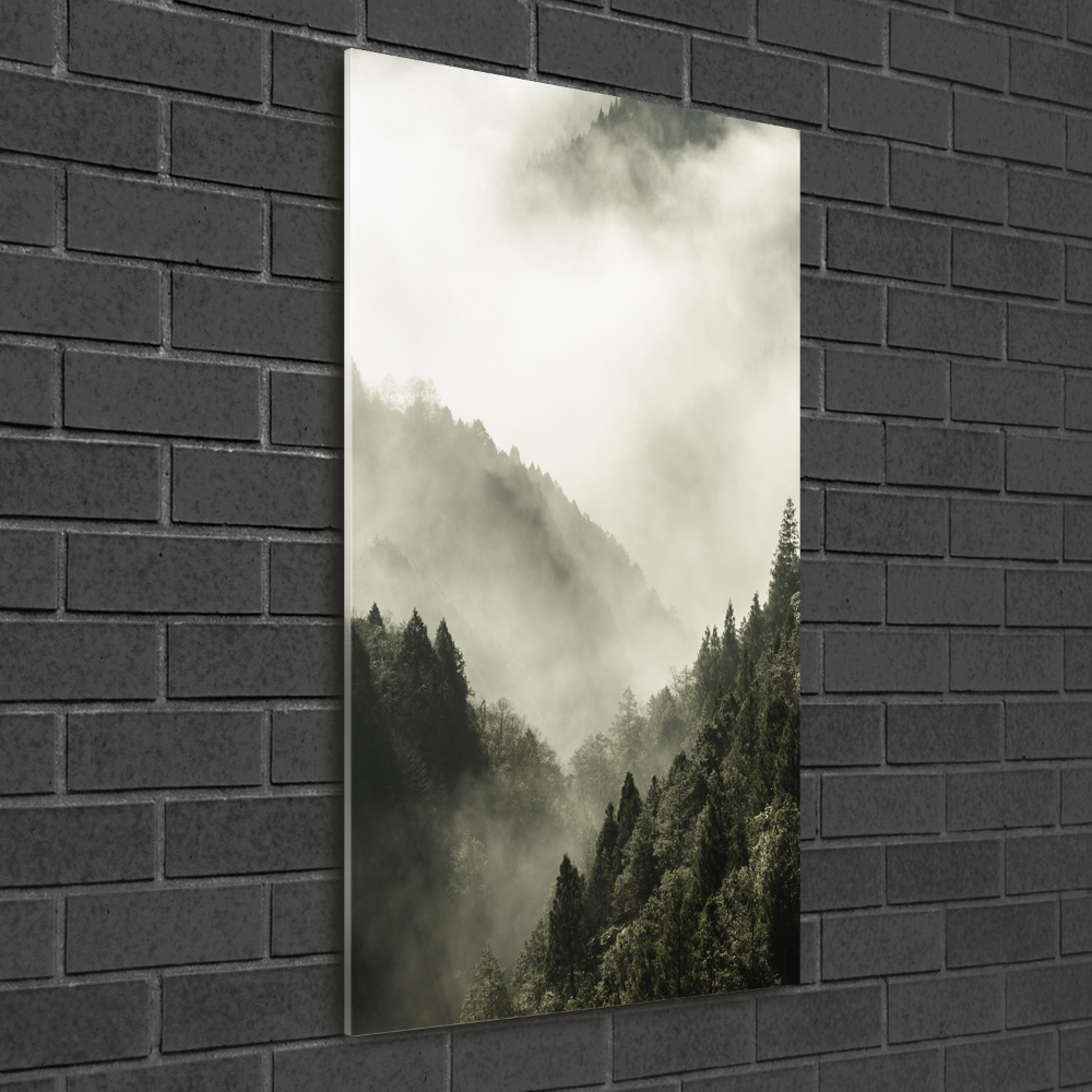 Vertikální Foto obraz fotografie na skle Mlha nad lesem