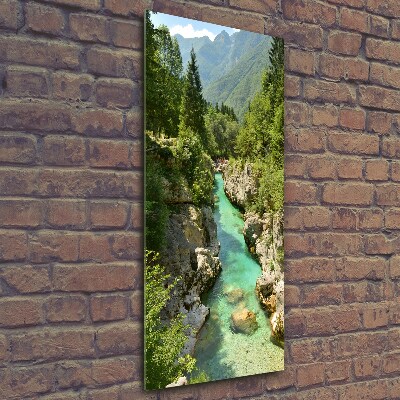 Vertikální Foto obraz sklo tvrzené Horský potok