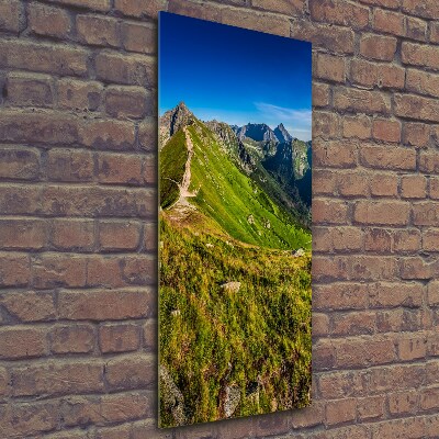 Vertikální Fotoobraz skleněný na stěnu do obýváku Tatry