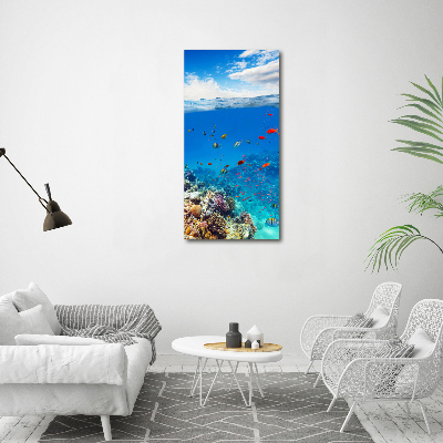 Vertikální Foto obraz sklo tvrzené Korálový útes