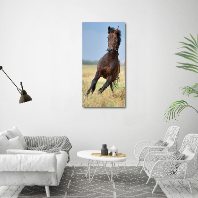 Vertikální Foto obraz sklo tvrzené Kůň na poli