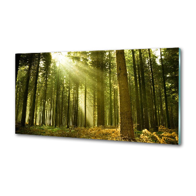 Dekorační panel sklo Sosnový les