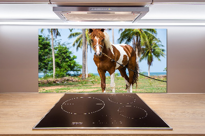 Dekorační panel sklo Strakatý kůň