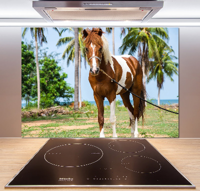 Dekorační panel sklo Strakatý kůň
