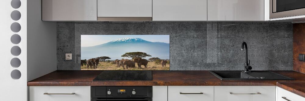 Panel lacobel Sloni Kilimandžaro