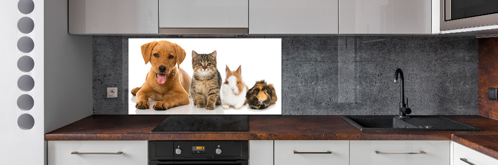 Dekorační panel sklo Pes a kočka
