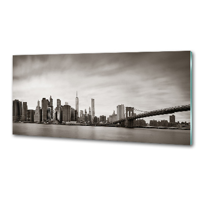 Panel lacobel Manhattan New York