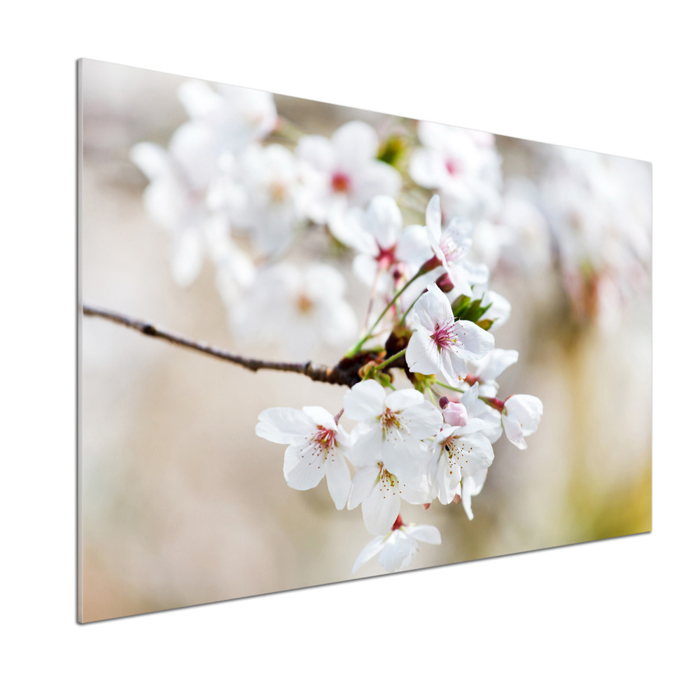 Dekorační panel sklo Květy višně