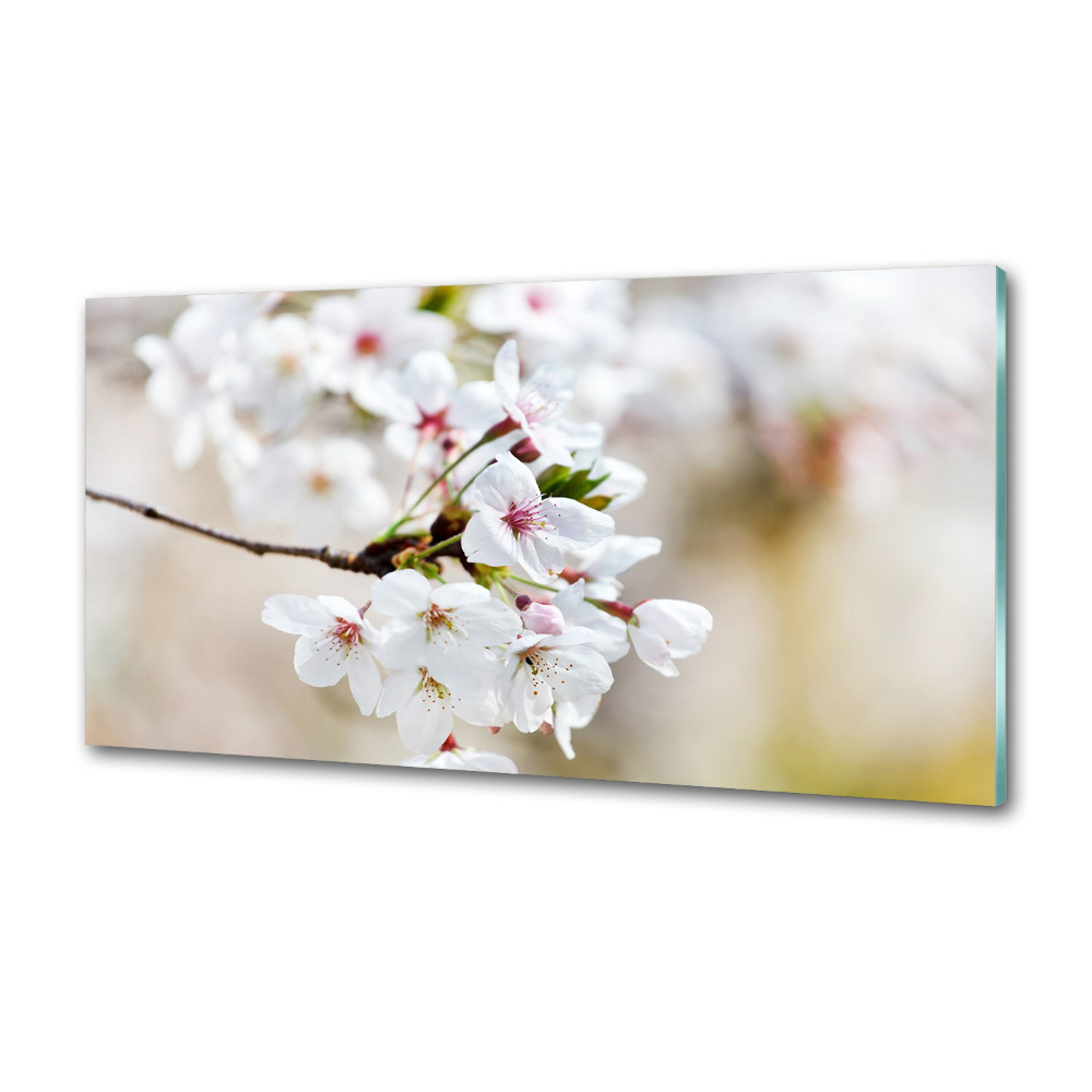Dekorační panel sklo Květy višně
