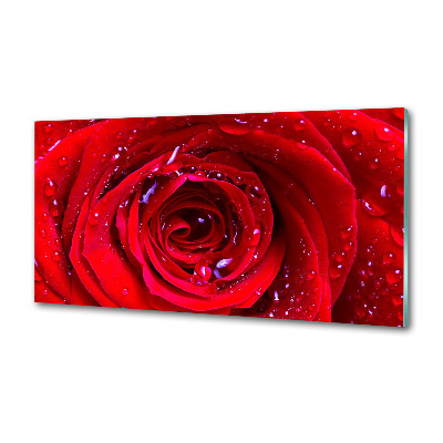 Dekorační panel sklo Květ růže