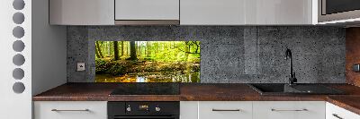 Panel do kuchyně Sluneční paprsky les