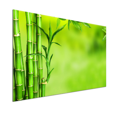 Skleněný panel do kuchyně Bambus