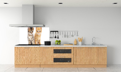 Panel do kuchyně Hnědá a červená kočka