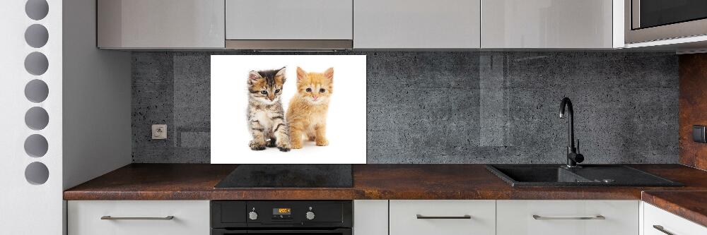 Panel do kuchyně Hnědá a červená kočka