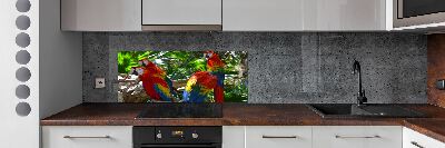 Dekorační panel sklo Papoušci Ara