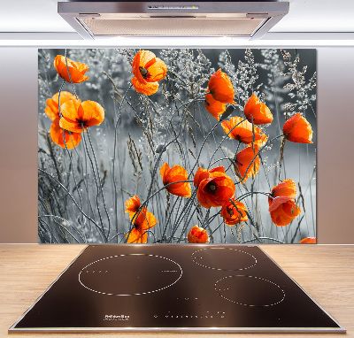 Dekorační panel sklo Polní mák