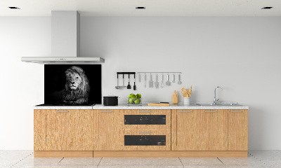 Panel tvrzené sklo do kuchyně Lev