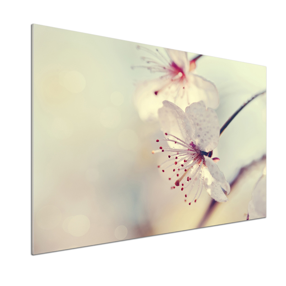 Dekorační panel sklo Květ višně