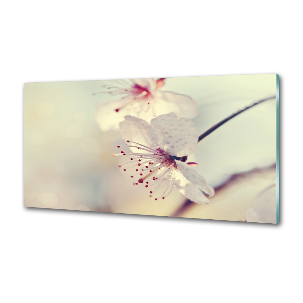 Dekorační panel sklo Květ višně