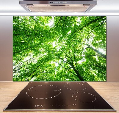 Dekorační panel sklo Zelený les