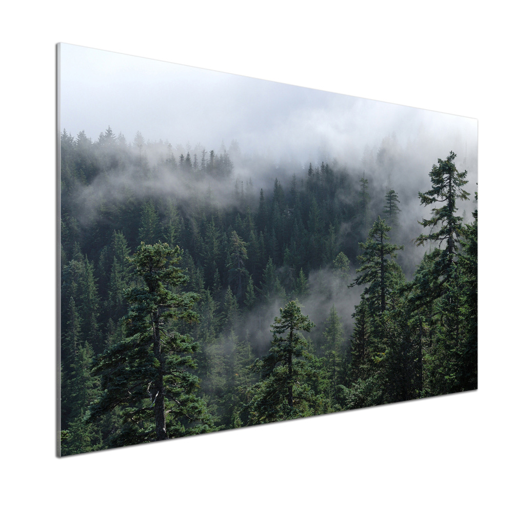 Dekorační panel sklo Lesní mlha
