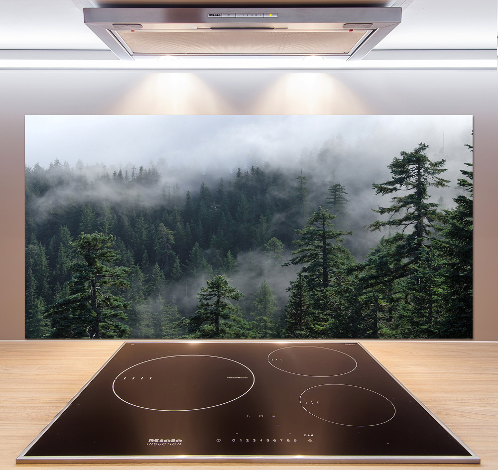 Dekorační panel sklo Lesní mlha