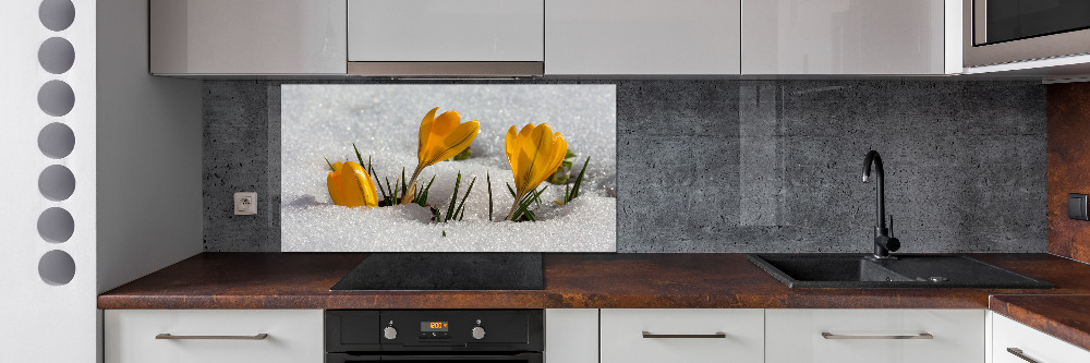 Panel do kuchyně Krokusy ve sněhu
