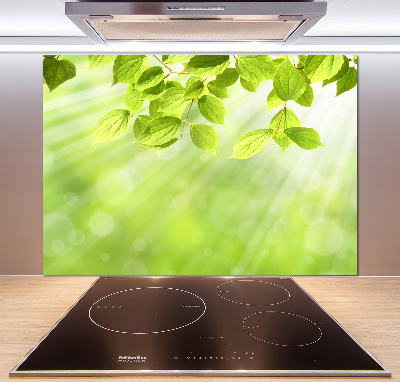 Skleněný panel do kuchyně Listí