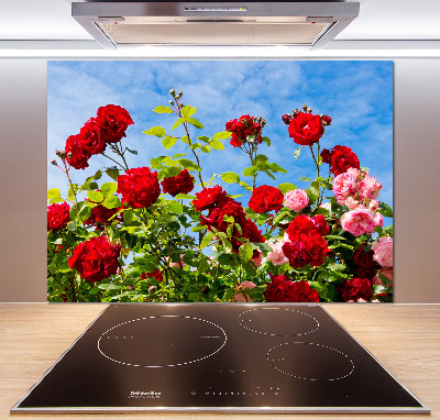 Dekorační panel sklo Divoké růže