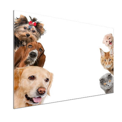 Dekorační panel sklo Psy a kočky